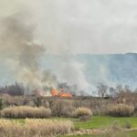 Πυρκαγιά σε χορτολιβαδική έκταση στην Τριποταμιά Αρκαδίας