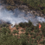 Πυρκαγιά σε δασική έκταση στη Καλίδονα Ηλείας