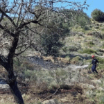 Πυρκαγιά εν υπαίθρω στην περιοχή Μπουζαλάδες στην Κερατέα (Φωτό)