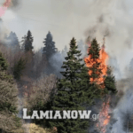 Υπό έλεγχο οι πυρκαγιές σε Τυμφρηστό και Ασβέστι στην Δυτική Φθιώτιδα