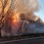 Πυρκαγια σε χορτολιβαδική έκταση στην Παναγίτσα Αρκαδίας