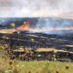 Πρόστιμο για πυρκαγιά σε υπολείμματα καλλιεργειών στην Κορινθία