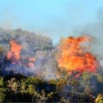 Σε εξέλιξη πυρκαγιά σε δασική έκταση στο Ροβολιάρι Φθιώτιδας