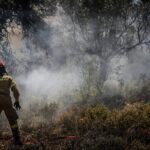 Σύλληψη για πυρκαγιά σε δασική έκταση στην περιοχή Στροπώνων Ευβοίας