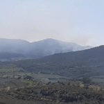 Πυρκαγιά σε δασική έκταση στην Δαιμονιά Λακωνίας