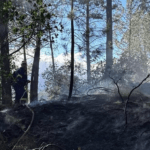 Σύλληψη για πυρκαγιά σε δασική έκταση στην περιοχή Πασσαβάς Γυθείου