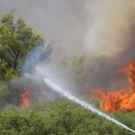 Πυρκαγιά σε δασική έκταση στο Δερβένι Κορινθίας