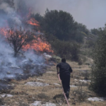 Πυρκαγιά σε αγροτολιβαδικη έκταση στον οικισμό Αμφιθέα Κορινθίας