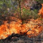 Σύλληψη για πυρκαγιά σε αγροτοδασική έκταση στα Εξαμίλια Κορινθίας