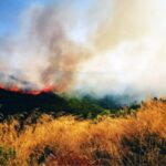 Πυρκαγιά σε γεωργική έκταση στο Παναρίτι Κορινθίας