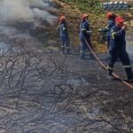 Πυρκαγιά σε χαμηλή βλάστηση στην Αγία Πελαγία Ηρακλείου Κρήτης