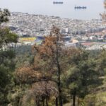 Θεσσαλονίκη: Εγκαθίσταται το πρώτο ραντάρ έγκαιρης προειδοποίησης για φωτιά στο Σέιχ Σου