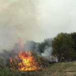 Πρόστιμο για πυρκαγιά σε υπολείμματα καλλιεργειών στα Αθίκια Κορινθίας