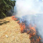 Σύλληψη για πρόκληση πυρκαγιάς σε οικοπεδικό χώρο στην Κυλλήνη Ηλείας