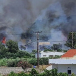 Πυρκαγιά σε δασική έκταση στην περιοχή της Κρεμαστής Ρόδου