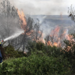 Πυρκαγιά σε δασική έκταση στον Προφήτη Ηλία στους Αγίους Θεοδώρους Κορινθίας