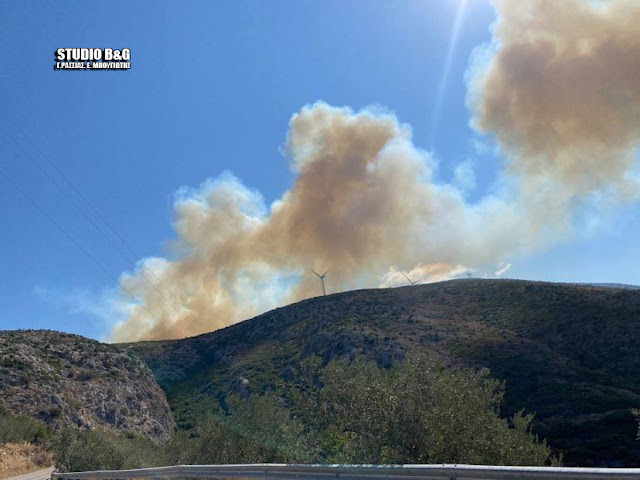 Πυρκαγιά σε αγροτοδασική έκταση στην περιοχή Μετόχι Επιδαύρου Αργολίδας