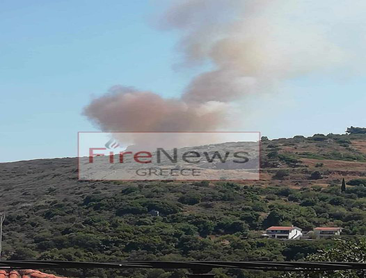 Πυρκαγιά σε δασική έκταση στα Χρυσοκελλαριά Μεσσηνίας