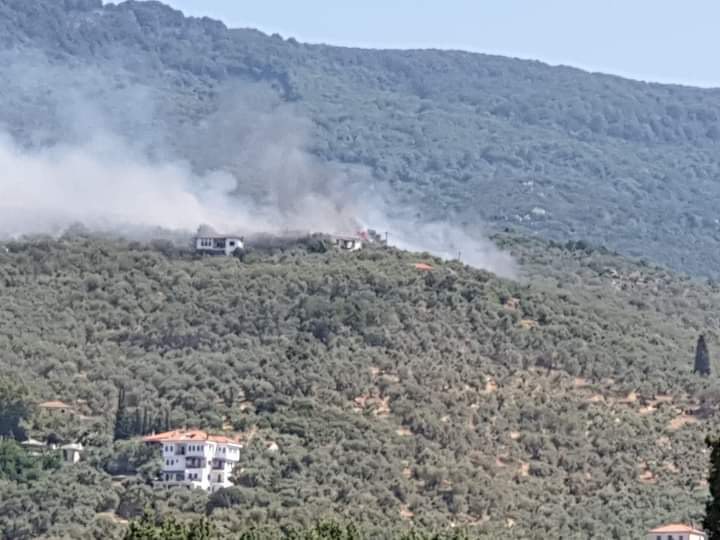 Πυρκαγιά σε αγροτοδασική έκταση στα Αργυραίικα Πηλίου