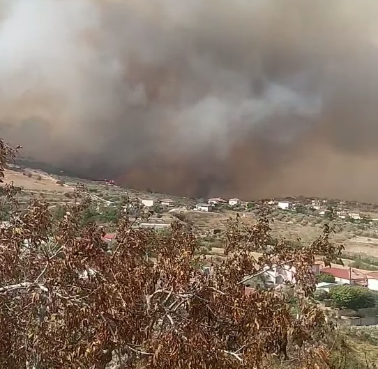 Πυρκαγιά στο Βελεστίνο: Νεκρή γυναίκα στον Πλάτανο Αλμυρού