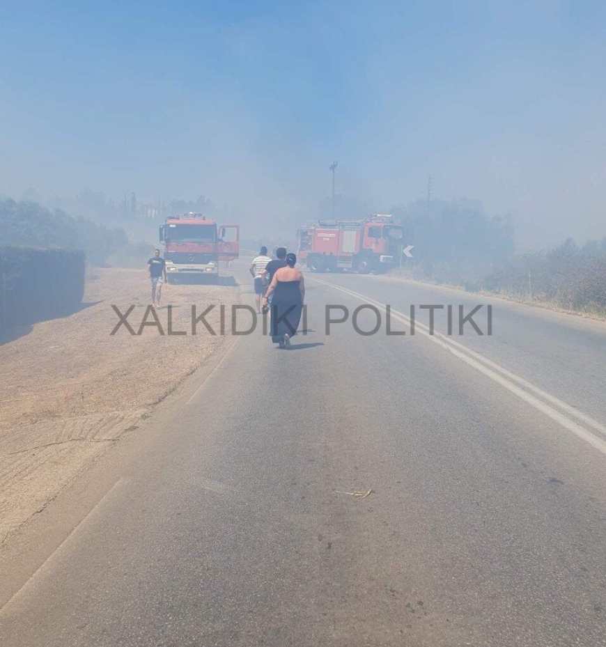 Πυρκαγιά σε χορτολιβαδική έκταση στη Σιθωνία της Χαλκιδικής