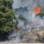 Πυρκαγιά σε δασική έκταση στην περιοχή Πύργοι Κοζάνης