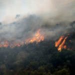 Πυρκαγιά σε αγροτοδασική έκταση στην περιοχή της Φρίξας Κρεστένων Ηλείας