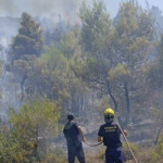 Υπό μερικό έλεγχο τέθηκε η πυρκαγιά στη Δ.Ε. Ληλαντίων Ευβοίας