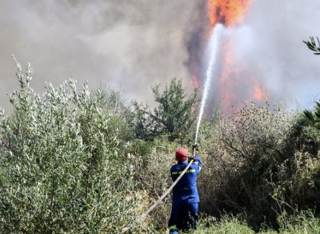 Άμεσα οριοθετήθηκε η πυρκαγιά σε χαμηλή βλάστηση στα Καλύβια Αττικής