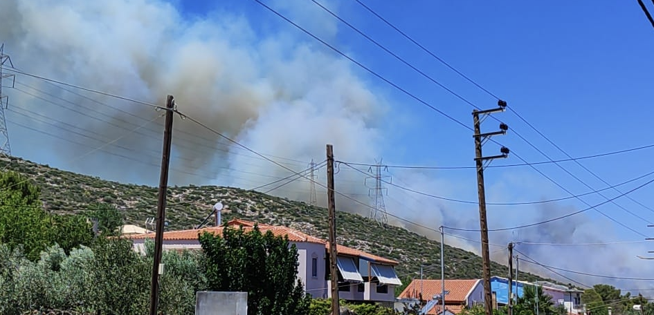 Μεγάλη πυρκαγιά σε χαμηλή βλάστηση στον Κουβαρά Αττικής