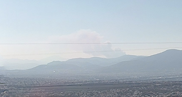 Πυρκαγιά σε δασική έκταση στην περιοχή Πάνακτο Βοιωτίας