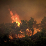 Στη φυλακή ο 30χρονος στη Μεσσηνία που είχε ομολογήσει ότι έβαζε φωτιές