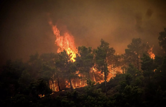 Στη φυλακή ο 30χρονος στη Μεσσηνία που είχε ομολογήσει ότι έβαζε φωτιές