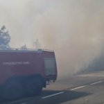 Πυρκαγιά σε χαμηλή βλάστηση στον Πολύρραχο Σερβίων