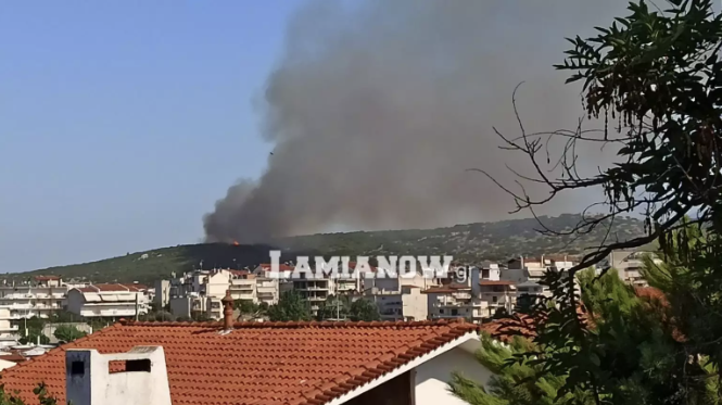 Πυρκαγιά στη Λαμία - Μεγάλη αναζωπύρωση στο πίσω μέρος του Αφανού