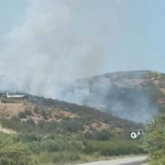 Πυρκαγιά σε δασική έκταση στην περιοχή Προφήτης Ηλίας Πέλλας