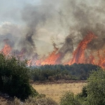 Πυρκαγιά σε χαμηλή βλάστηση στην περιοχή Μελίσσια Ασπροπύργου