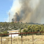 Πυρκαγιά σε δασική έκταση στον Δομοκό Φθιώτιδας