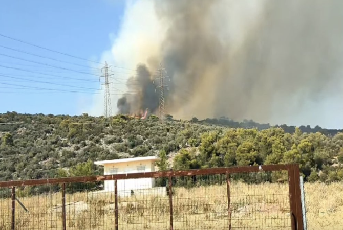 Πυρκαγιά σε δασική έκταση στον Δομοκό Φθιώτιδας