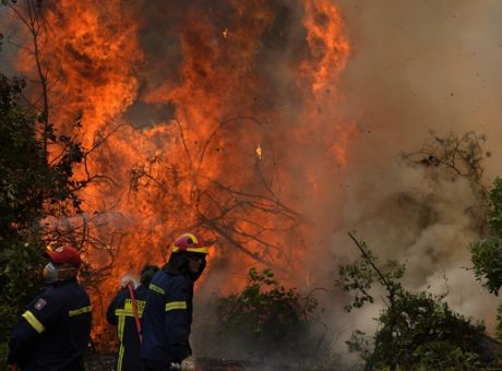 ΠΟΕΥΠΣ: Ο πόλεμος της δασοπυρόσβεσης