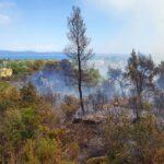 Πυρκαγιά μετά από πτώση κεραυνού στη Σιθωνία Χαλκιδικής