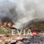 Πυρκαγιά στην Κάρυστο: Εκκενώνεται το χωριό Άγιοι – Νέο μήνυμα του 112