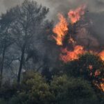 Πυρκαγιά σε δασική έκταση στη Μαθιά Μεσσηνίας