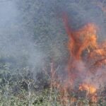 Υπό μερικό έλεγχο η πυρκαγιά στον Βαρνάβα Αττικής