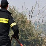 Πυρκαγιά σε χαμηλή βλάστηση στην περιοχή Φλάμπουρα Πρέβεζας