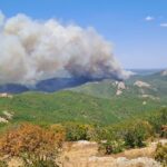 Πυρκαγιά σε δασική έκταση στην περιοχή της Δαδιάς Έβρου