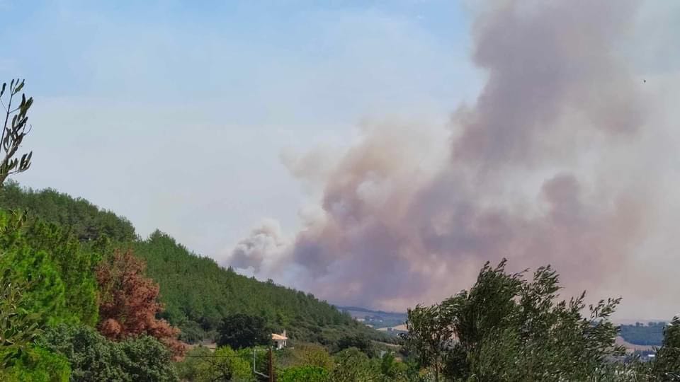 Πυρκαγιά στην Αλεξανδρούπολη: Άνιση μάχη με τις φλόγες - Εκκενώνονται άλλοι τέσσερις οικισμοί