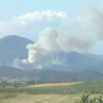 Πυρκαγιά σε δασική έκταση στα Πάτερμα Ροδόπης