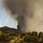 Υπό μερικό έλεγχο η πυρκαγιά στην Ανατολική Μάνη