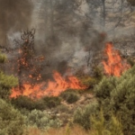 Πυρκαγιά σε χαμηλή βλάστηση στην περιοχή Παξιμάδα Καρύστου